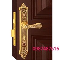 Khóa Việt Tiệp Đồng cửa đi 04296