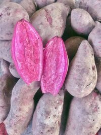 khoai lang tím đại hà giá chỉ 2k/kg
