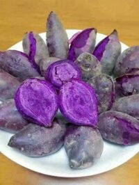 khoai lang tím giá sỉ công khai