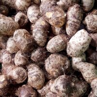 Khoai môn (khoai sọ) 1kg