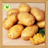 Khoai tây vàng CP Đà Lạt – 100g