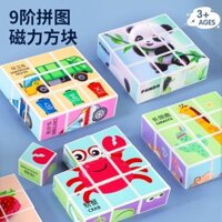 Khối lập phương từ tính Câu đố ba chiều sáu mặt Khối Rubik 3 đến 6 tuổi Khối xây dựng lắp ráp trí thông minh cho trẻ em Đồ chơi giáo dục Bé trai Bé gái 3.10 sc