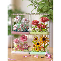 Khối xây dựng quà tặng sinh nhật hoa cẩm chướng Gardenia