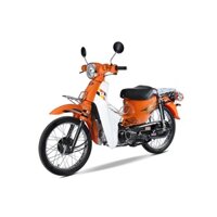 [KHÔNG CẦN BẰNG LÁI] Xe Máy 50cc Cub 81 Hyosung