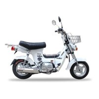 [KHÔNG CẦN BẰNG LÁI] Xe Máy 50cc Chaly 82 Đời Mới