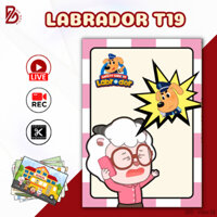 [Không cắt]  Librador Baby Quiet Book DIY Handmade - Bộ Sản Phẩm Quay Video