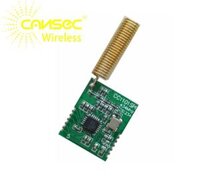 Không Dây & Rf Mô Đun Cansec Wireless CC1101SPI