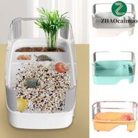 Không gian trồng bể rùa ZHAOCAIMAO Bask bền