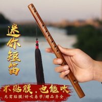 Không Phim Lỗ Ngang Sáo Mini Piccolo Sinh Viên Giới thiệu Sáo Tre Người Mới Bắt Đầu Trẻ Em Người Lớn Âm Nhạc Trong20250319