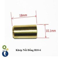 Khớp Nối Đồng B10-6