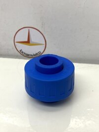 Khớp nối sống rắc co PPR 20 Bình Minh1 cái