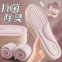 Khử Mùi Gỗ Giun Khử Mùi Đế Lót Hút Mồ Hôi Massage Thoáng Khí Hút Sốc Nữ Dài Đứng Chống Trơn Đế Mềm Thoải Mái Thể Thao Đế Lót Khử Mùi Gỗ Giun Khử Mùi Đế Lót Mồ Hôi