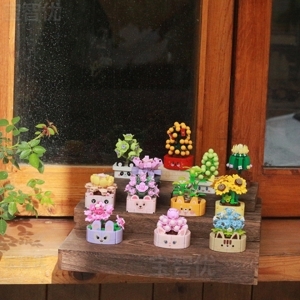 Khu Vườn Của Bé