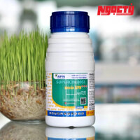 KHUẨN APN của An Phát Nông - Quản lý vi khuẩn cháy bìa lá lúa, lép vàng