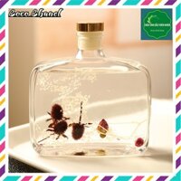 Khuếch Tán Tinh Dầu Thơm Phòng Thiên Nhiên Coco Chanel - Nước Hoa Thơm Phòng Kèm Que Khô Vĩnh Cửu
