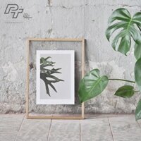Khung ảnh 2 kính A3 30x40 Double Glass Frame - Khung hình gỗ thông mặt kính treo tường ép hoa khô Woodframe By P'Tee