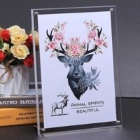 Khung Ảnh Acrylic Bảng Trong Suốt Pha Lê Treo Tường 12 Inch Album Ảnh A4 Giấy Chứng Nhận A3 Khung Giấy Phép Kinh