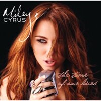 Khung ảnh Album Miley Cyrus The times of our lives