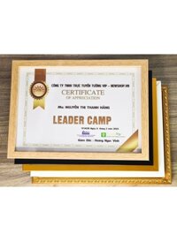 Khung Bằng Khen Composite, Mặt Mica Treo Tường Để Bàn 21X30cm(A4) (Trắng, Vàng, Nâu Gỗ, Đen)