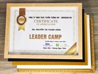 Khung Bằng Khen Composite, Mặt Mica Treo Tường Để Bàn 30x42cm(A3) (Trắng, Vàng, Nâu Gỗ, Đen)