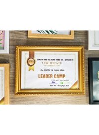 Khung Bằng Khen Viền Vàng Cổ Điển, Mặt Mica Treo Tường Để Bàn 21X30cm(A4)