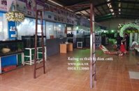 Khung cổng hoa đám cưới cầu thang - Mã: KCH-027