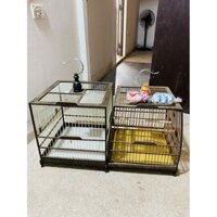 khung gỗ muôn đuôi công nan tre