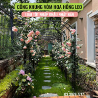 Khung hoa hồng leo hàng nhập khẩu có thể tùy biến lắp ráp