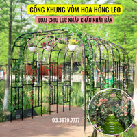 Khung hoa hồng leo Khung cây leo hàng nhập khẩu