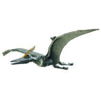 Khủng long bay PTERANODON