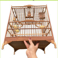 Khung lồng chim chào mào báng súng chất liệu trúc tự ráp khung lồng mào form Vuông đấu Chitta