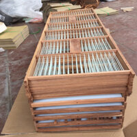 khung lồng lực tự giáp cho chào mào choè lửa chất liệu gỗ nan cáp quang đã được giáp sẵn 6 mặt