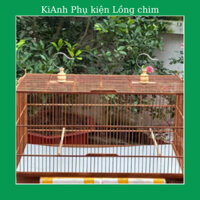 Khung lồng tập lực chim chào mào tự ráp lồng tập lực chào mào chất liệu tre già kích thước 60,80cm
