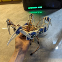 Khung robot nhện đã lắp sẵn 12 servo