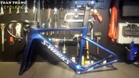 Khung sườn S-Works Specialized Venge Dics 2020 đổi màu tím xanh