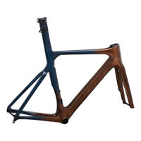 Khung Sườn Xe Đạp GIANT Propel Advanced SL Disc Frame And Fork – 2022