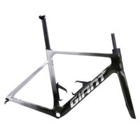 Khung Sườn Xe Đạp GIANT Propel Advanced Pro Frame And Fork