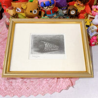 khung tranh ảnh viền vàng new fullbox