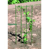 Khung trồng cây, giá đỡ cây rộng 45 cao 120cm của nhật ống thép bọc nhựa phi 11
