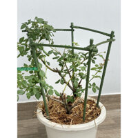 Khung trồng hoa cao 90cm cạnh 28cm Daim, chuyên trồng cây cảnh (5 trụ đứng)