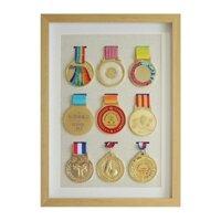 Khung Trưng Bày Huy Chương Huy Chương Vàng Đồng Dành Cho Huy Chương Huy Chương Huy Chương