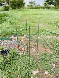 Khung tứ giác trồng hoa của Nhật cao 90-120cm, ống thép bọc nhựa phi 11 - CAO 90CM