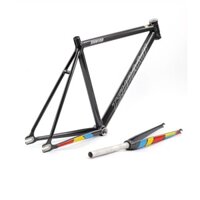 Khung xe đạp fixed SNM100 đầy đủ phụ kiện