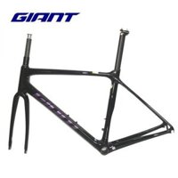 KHUNG XE ĐẠP GIANT – TCR ADV RB (ĐỔI MÀU)