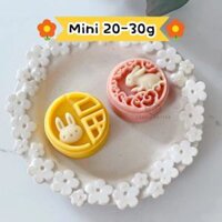 Khuôn Bánh Trung Thu Thỏ 25g 20g 30g Khuôn Bánh Trung Thu Mini Khuôn Nhựa Nhỏ Tết Nguyên Đán Tết Nguyên Đán Lễ Hội Bánh Ngọt Trang Trí Tem Hoa Bấm Tay Dụng Cụ Nướng Bánh Dụng Cụ Khuôn Thực Phẩm Cho Bé Rabbit Mooncake Mould 25g 20g 30g Mini Moon Cake Mold