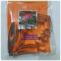 Khuôn cắt hoa cúc đồng tiền