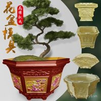 Khuôn chậu hoa xi măng hình bát giác, khuôn bonsai, mẫu cây trồng trong chậu, khuôn nhựa cực lớn, bộ dày đặc, trát AJOF