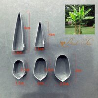 KHUÔN CHUỐI SIZE MINI