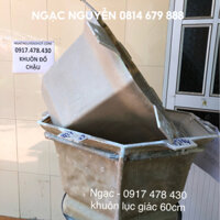 Khuôn Đổ Chậu Lục Giác Rộng 60cm Cao 40cm Nhựa Compo Có Lòng Trong