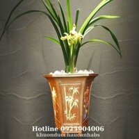 Khuôn đúc chậu cảnh Lục Giác Dáng Cao 22, Nhựa ABS cao cấp, Phù hợp trồng cây mini bonsai, Dùng làm chậu cây xi măng